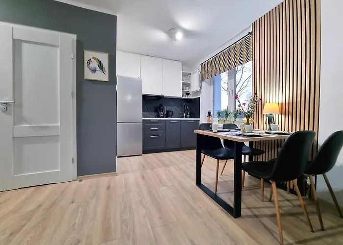 Classy Apartments