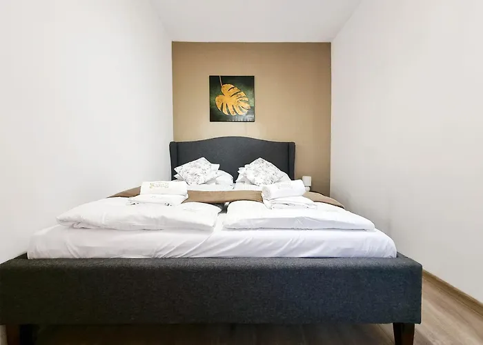 Classy Apartments